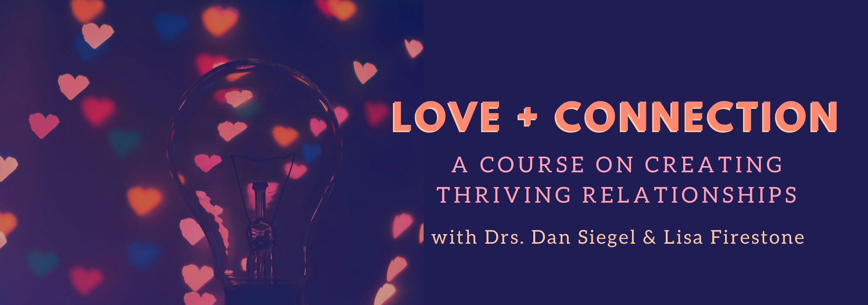 Love + Connection A eCourse with Dan Siegel & Lisa Firestone